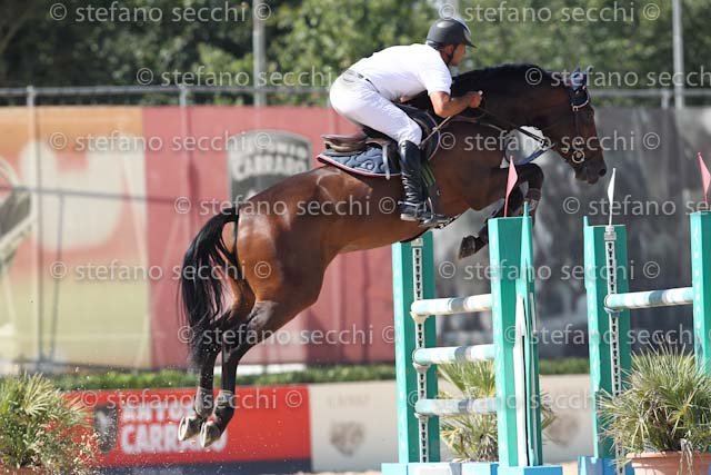 METRANGOLO_GREAT QUALITY_ECC_2011_SS3_8621.jpg